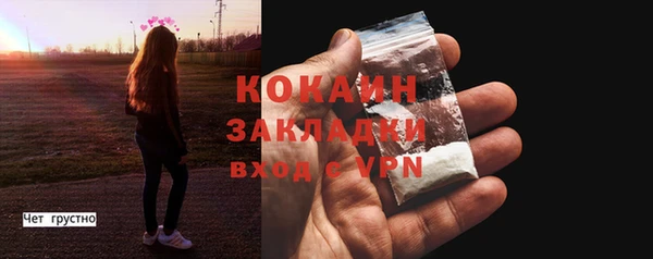 ПСИЛОЦИБИНОВЫЕ ГРИБЫ Богородск