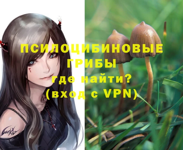 не бодяженный Богородицк