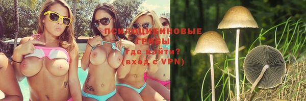 mix Белокуриха