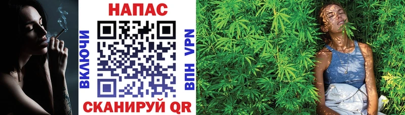 Канабис SATIVA & INDICA  закладка  Красный Сулин 